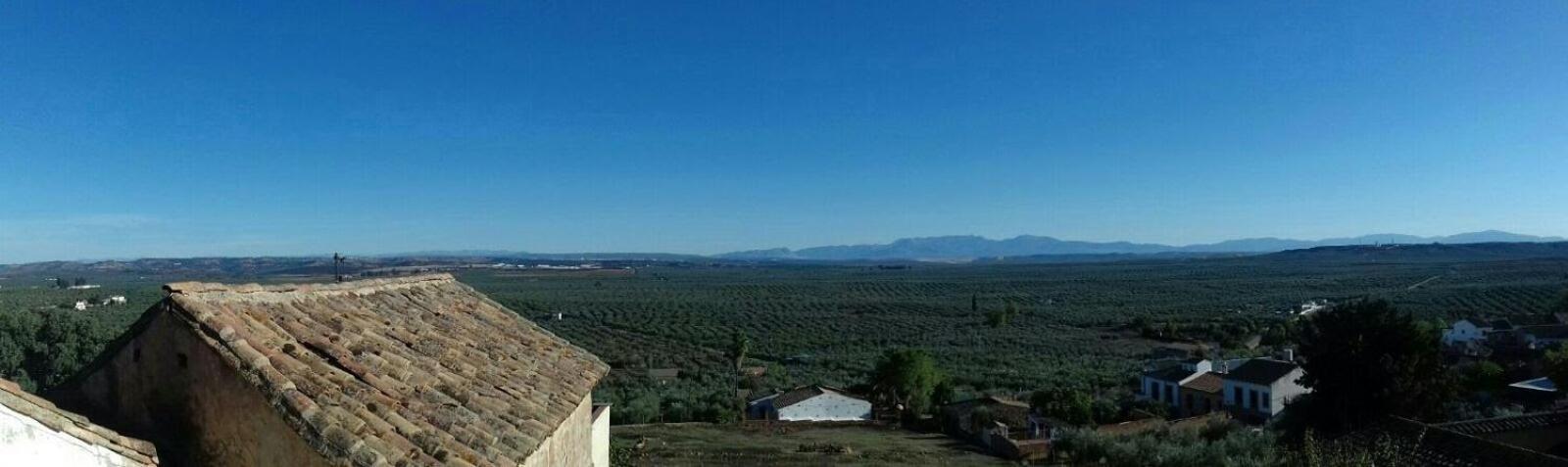 Casa Rural Verde Oliva Baños de la Encina Εξωτερικό φωτογραφία